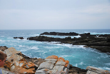 Shark Point - Cape St Francis 