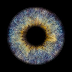 a close up view of an iris of the eye, with some bright streaks in