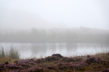 Fototapeta premium fog on the river