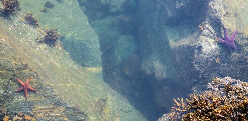 water is running on rocks and small rocks in the background