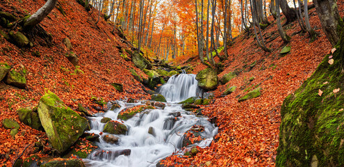 Autumn landscape - view of a mountain river with a cascade of waterfallsin the autumn forest, Carpathians, Ukraine - obrazy, fototapety, plakaty