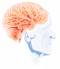 Side view of a brain of an elderly man. Neurons and synapses. Communication and cerebral stimulus. Neural network circuit, degenerative diseases, Parkinson, Alzheimer