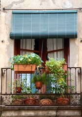 Fototapeta na wymiar Balcony exterior view with potted plants.