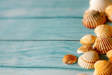 Wooden blue background with beautiful brown white seashells and copy space