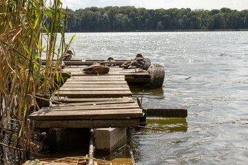 Flock of ducks perched on a dock overlooking a tranquil lake