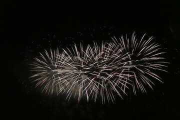 Obraz premium Captivating nocturnal view of dazzling fireworks illuminating sky during Bastille Day celebration