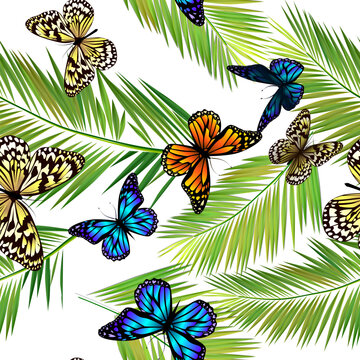 Palm leaves and butterflies seamless pattern on white background. Vector background