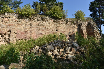 Ruiny, gotycki Zamek Zawiszy Czarnego w Rożnowie, Małopolska, Polska,  © Albin Marciniak