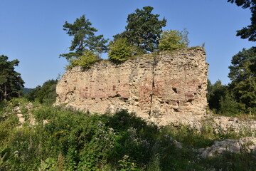 Ruiny, gotycki Zamek Zawiszy Czarnego w Rożnowie, Małopolska, Polska,  © Albin Marciniak
