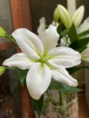 Elegant white ceramic vase filled with lily flowers placed next to a window
