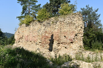 Ruiny, gotycki Zamek Zawiszy Czarnego w Rożnowie, Małopolska, Polska,  © Albin Marciniak