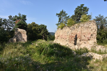 Ruiny, gotycki Zamek Zawiszy Czarnego w Rożnowie, Małopolska, Polska,  © Albin Marciniak