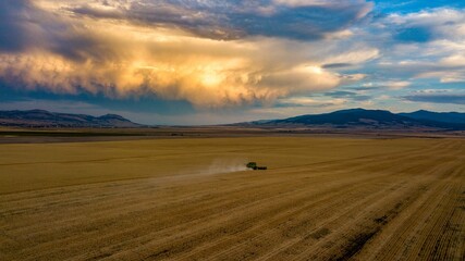 Agricultural tractor in a golden field in the countryside of Montana during the Harvest Season