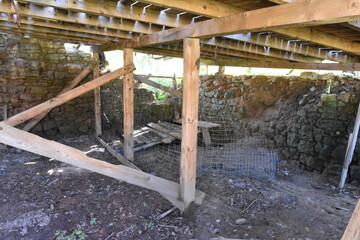 Ruiny, gotycki Zamek Zawiszy Czarnego w Rożnowie, Małopolska, Polska,  © Albin Marciniak