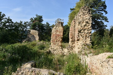 Ruiny, gotycki Zamek Zawiszy Czarnego w Rożnowie, Małopolska, Polska,  © Albin Marciniak