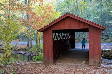 Autumn view of a small shelter surrounded by trees in autumn foliage