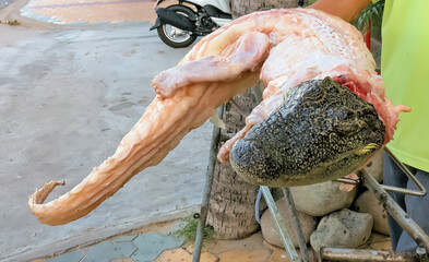 Exotic vietnamese food - whole skinned siamese endangered animal crocodile body prepared for...