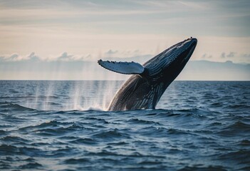 Fototapeta premium AI generated illustration of a humpback whale jumping out of sea waves