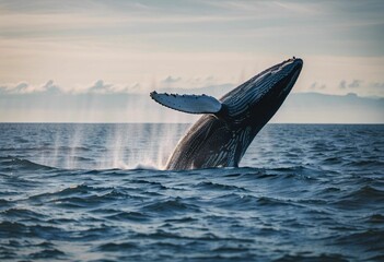 AI generated illustration of a humpback whale jumping out of sea waves