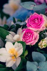 Pink rose flower bouquet close up still