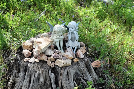 Forest Angels Sit on Tree Stump