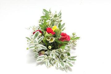 ハツユキソウとケイトウの花束