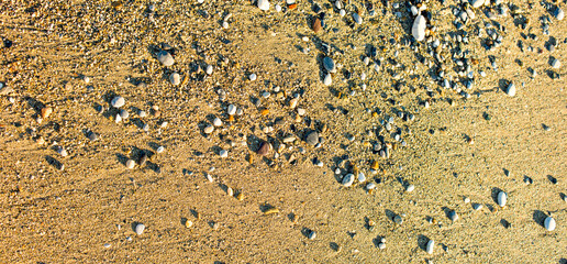background with sea shore texture