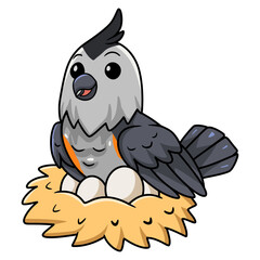 Cute black crested titmouse cartoon with eggs in the nest