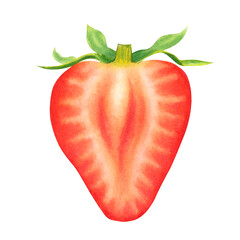 Half of a strawberry isolated on transparent background. Watercolor hand drawn illustration. For advertising, packaging, menus, invitations, business cards, postcards, printing.