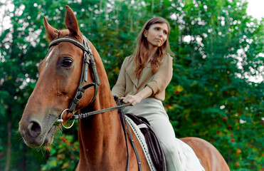 Horse riding experience. Horseback journey. Meadow encounter: woman, horse, nature. Equestrian benefits, lessons, emotional renewal. young woman with her horse. Graceful lady riding a horse