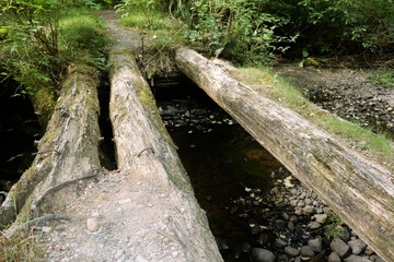 log bridge crossing a small creek