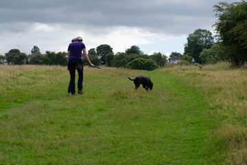 Fototapeta na wymiar A woman walking a dog in the countryside