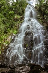 waterfall in the forest