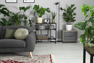 Cozy room interior with stylish furniture, houseplants and decor elements