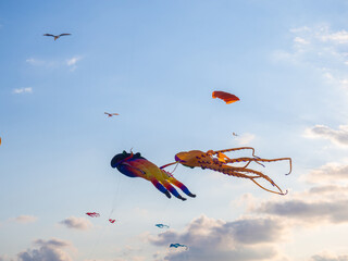Kite Festival. Kites in the sky. A spectacle in the sky. Wind is like a force. air objects. Various forms. A beautiful sight.