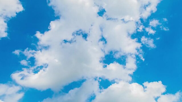 夏の空