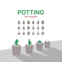 선인장을 화분에 예쁘게 가꿔봅시다