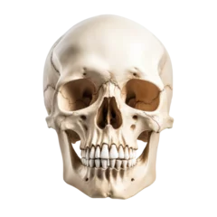 Fotobehang Aquarel doodshoofd photo realistic skull isolated on a white background
