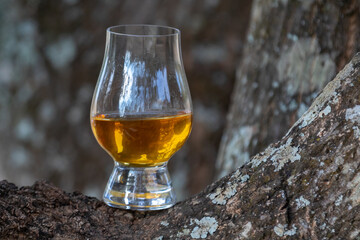 Traditional Single malt Scotch whiskey in the Glencairn glass in selective focus.