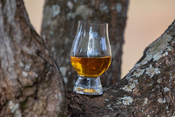Traditional Single malt Scotch whiskey in the Glencairn glass in selective focus.