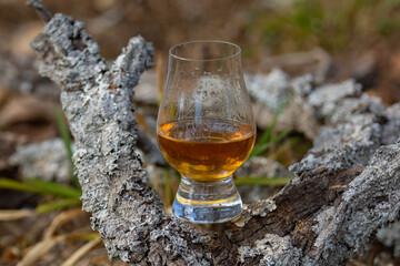 Traditional Single malt Scotch whiskey in the Glencairn glass in selective focus.