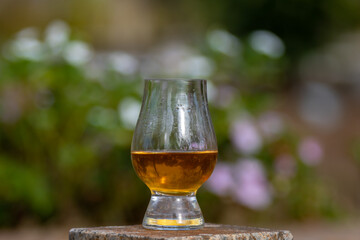 Traditional Single malt Scotch whiskey in the Glencairn glass in selective focus.