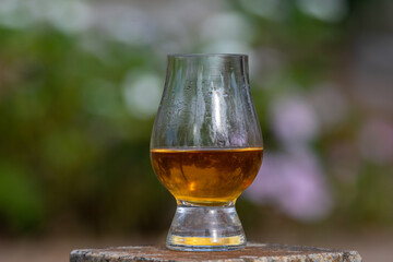 Traditional Single malt Scotch whiskey in the Glencairn glass in selective focus.