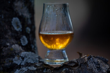 Traditional Single malt Scotch whiskey in the Glencairn glass in selective focus.