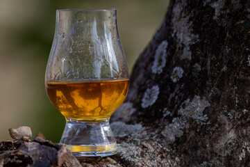 Traditional Single malt Scotch whiskey in the Glencairn glass in selective focus.