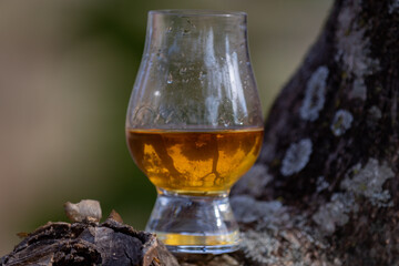 Traditional Single malt Scotch whiskey in the Glencairn glass in selective focus.