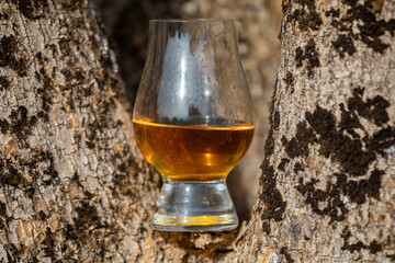 Traditional Single malt Scotch whiskey in the Glencairn glass in selective focus.