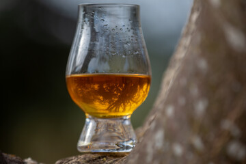 Single malt Scotch whiskey in the Glencairn glass in selective focus.