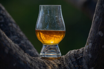 Single malt Scotch whiskey in the Glencairn glass in selective focus.