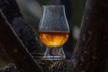 Single malt Scotch whiskey in the Glencairn glass in selective focus.
